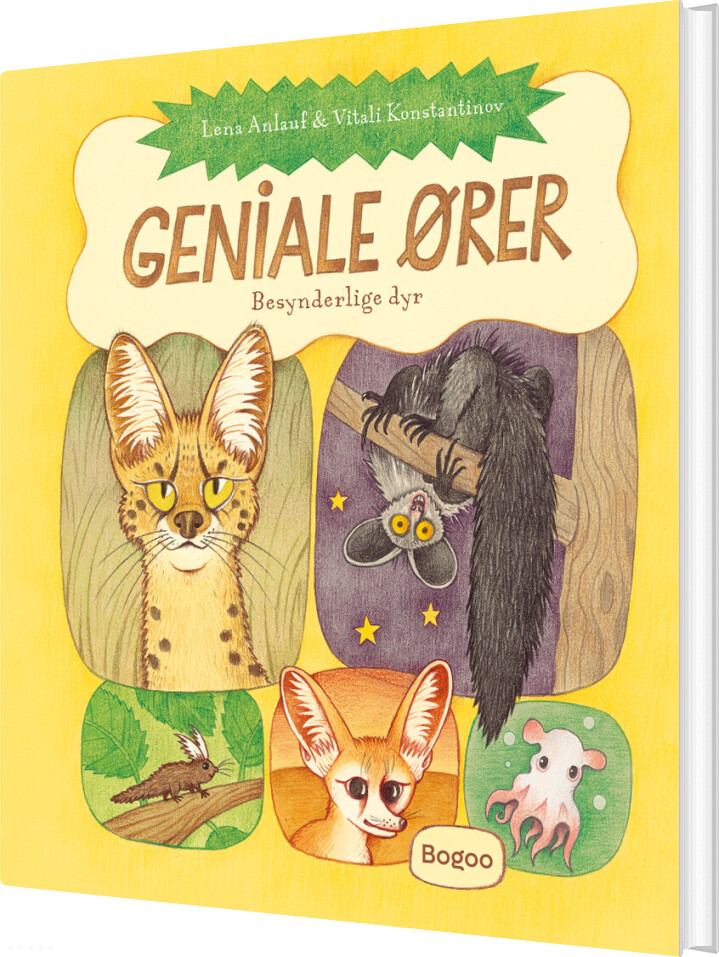 Geniale ører - Lena Anlauf - Bog