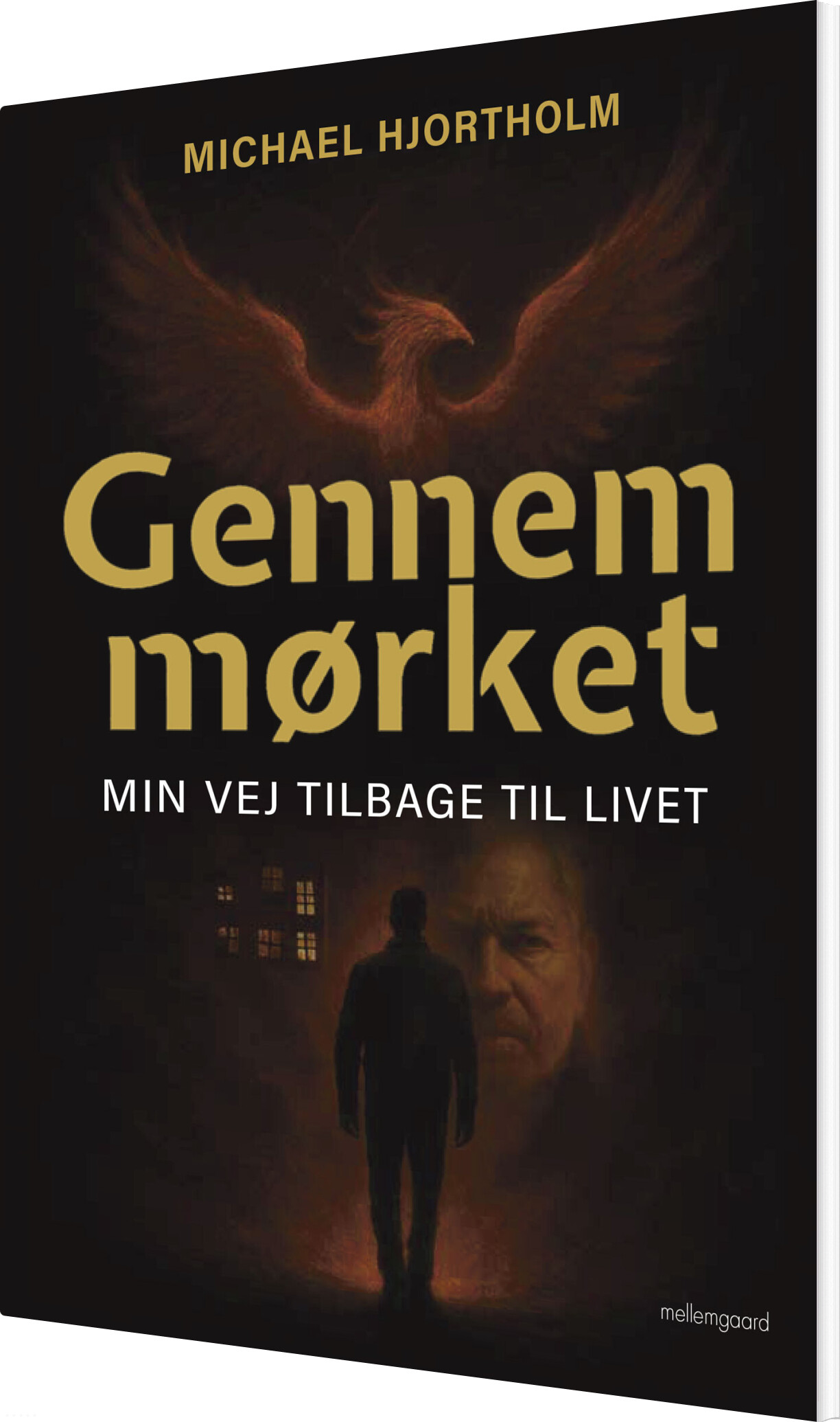 Gennem Mørket - Michael Hjortholm - Bog