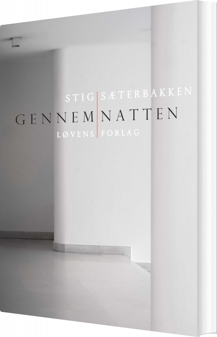 Billede af Gennem Natten - Stig Sæterbakken - Bog
