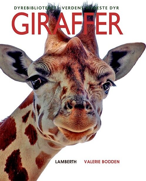 Billede af Giraffer - Valerie Bodden - Bog hos Gucca.dk