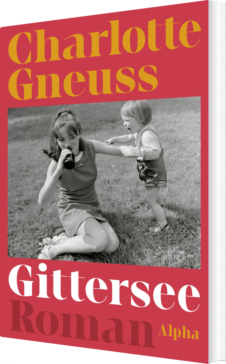 Billede af Gittersee - Charlotte Gneuss - Bog