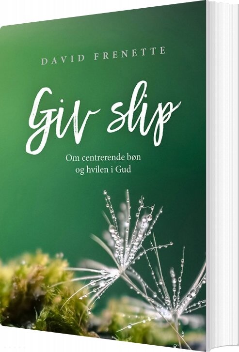 Billede af Giv Slip - David Frenette - Bog