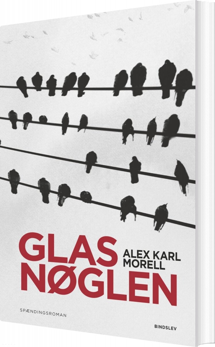 Glasnøglen - Alex Karl Morell - Bog