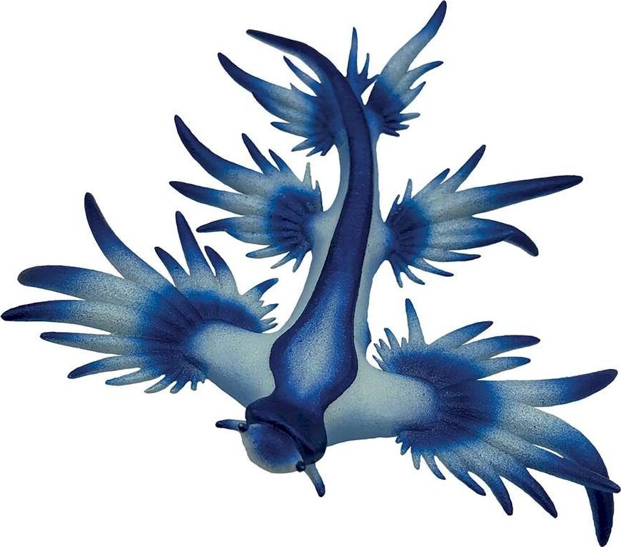 Glaucus Atlanticus 3,1x2,8x6,5cm - 67511 - Bullyland