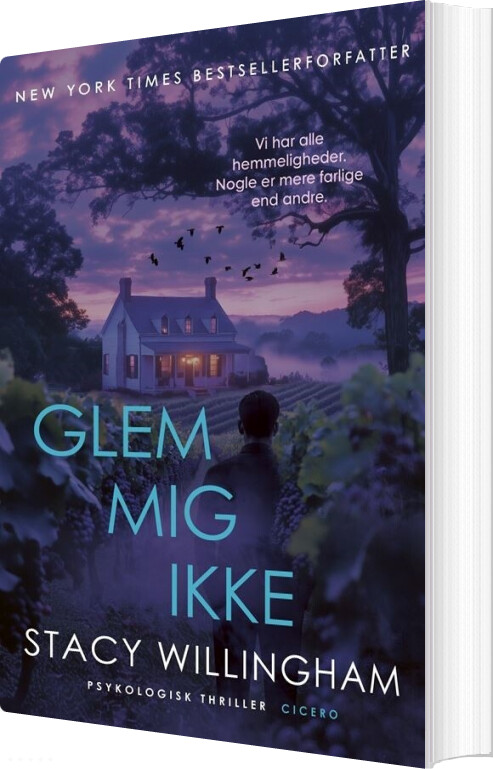 Glem Mig Ikke - Stacy Willingham - Bog