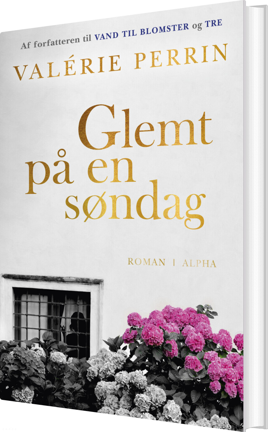 Billede af Glemt På En Søndag - Valérie Perrin - Bog