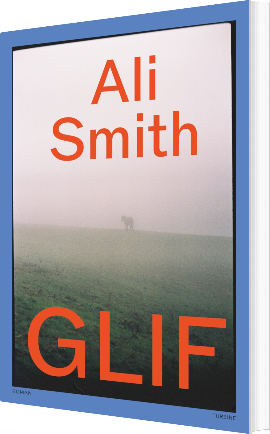Glif - Ali Smith - Bog