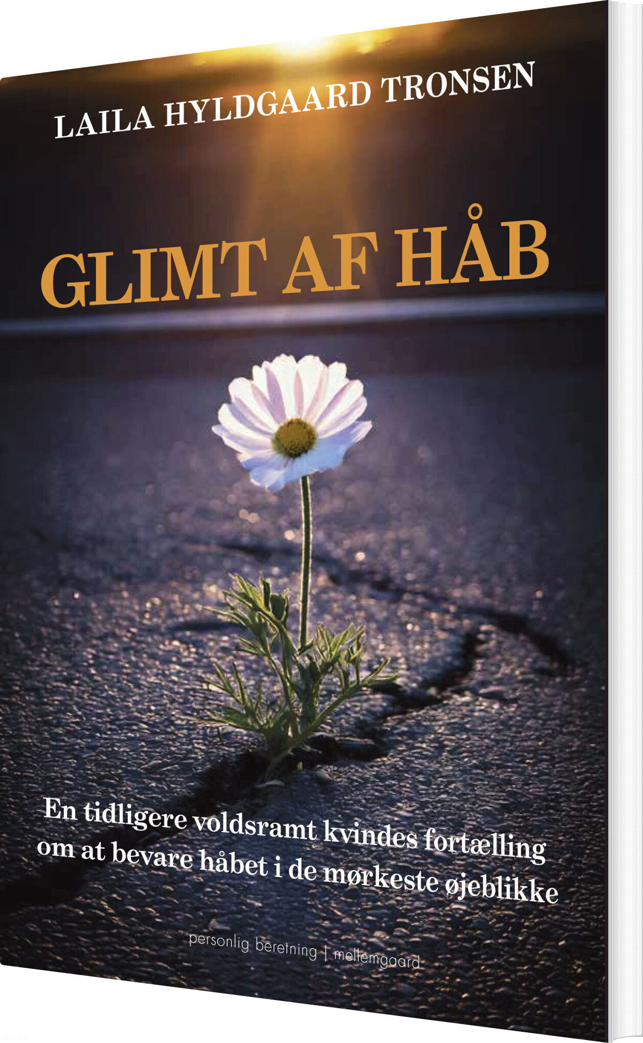 Glimt Af Håb - Laila Hyldgaard Tronsen - Bog