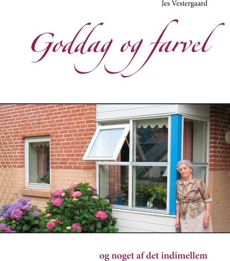 Billede af Goddag Og Farvel - Jes Vestergaard - Bog