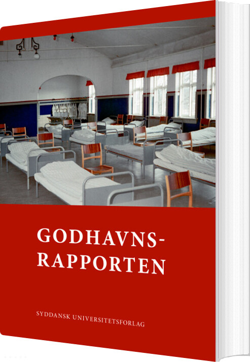 Godhavnsrapporten - Maria Rytter - Bog