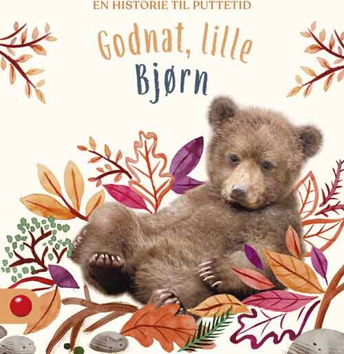 Billede af Godnat, Lille Bjørn - Diverse - Bog