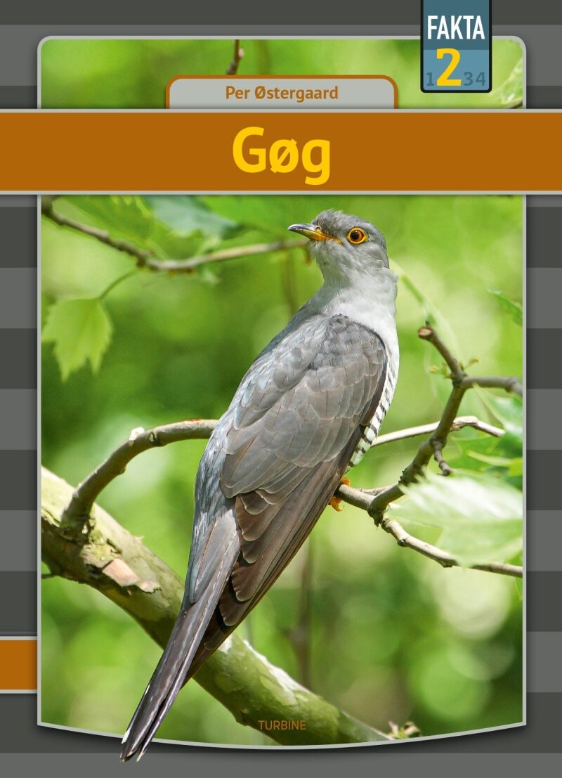 Billede af Gøg - Per østergaard - Bog