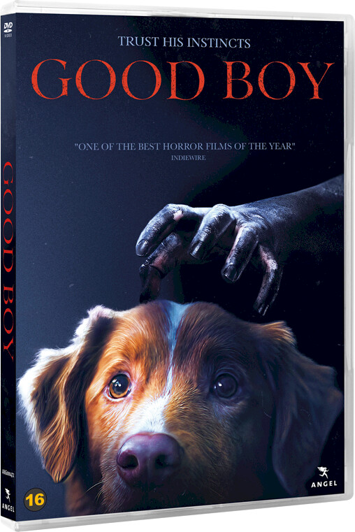 Good Boy - DVD - Film