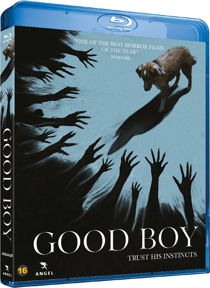 Good Boy - Blu-Ray