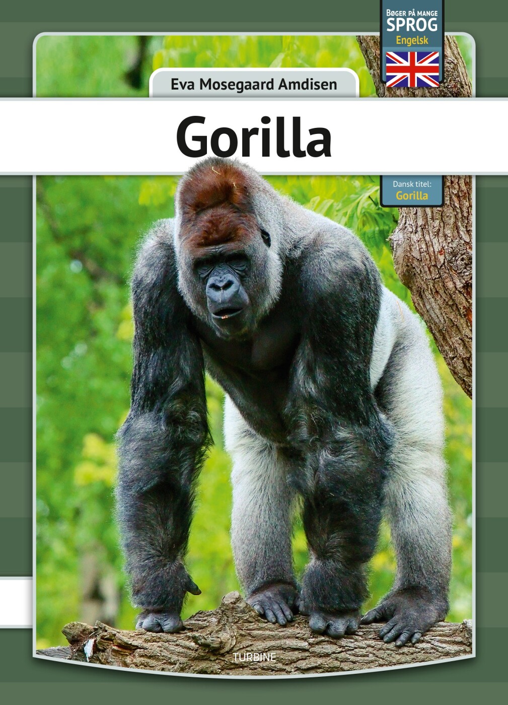 Gorilla - Engelsk - Eva Mosegaard Amdisen - English Book - Turbine