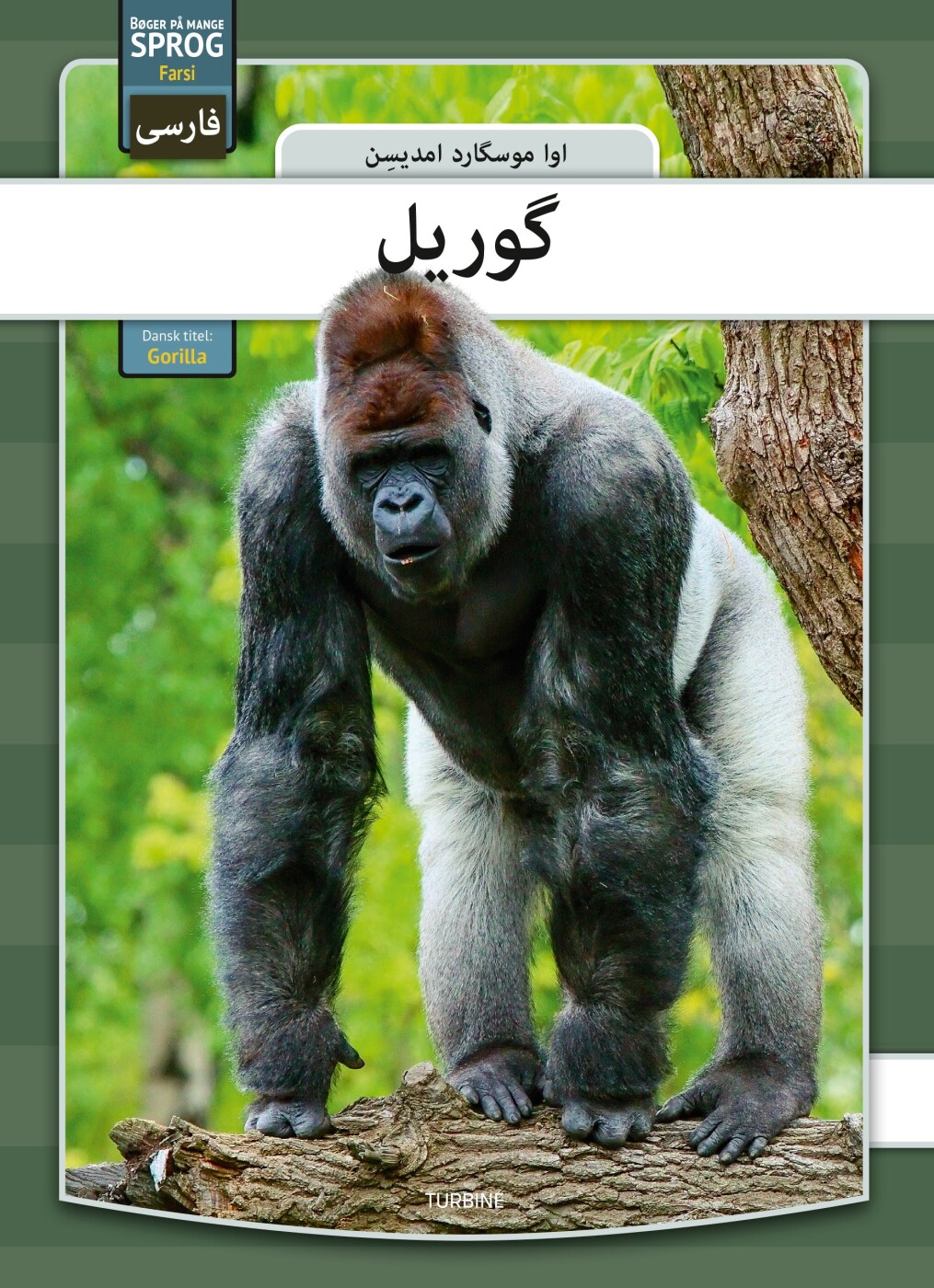 Gorilla - Farsi - Eva Mosegaard Amdisen - Bog