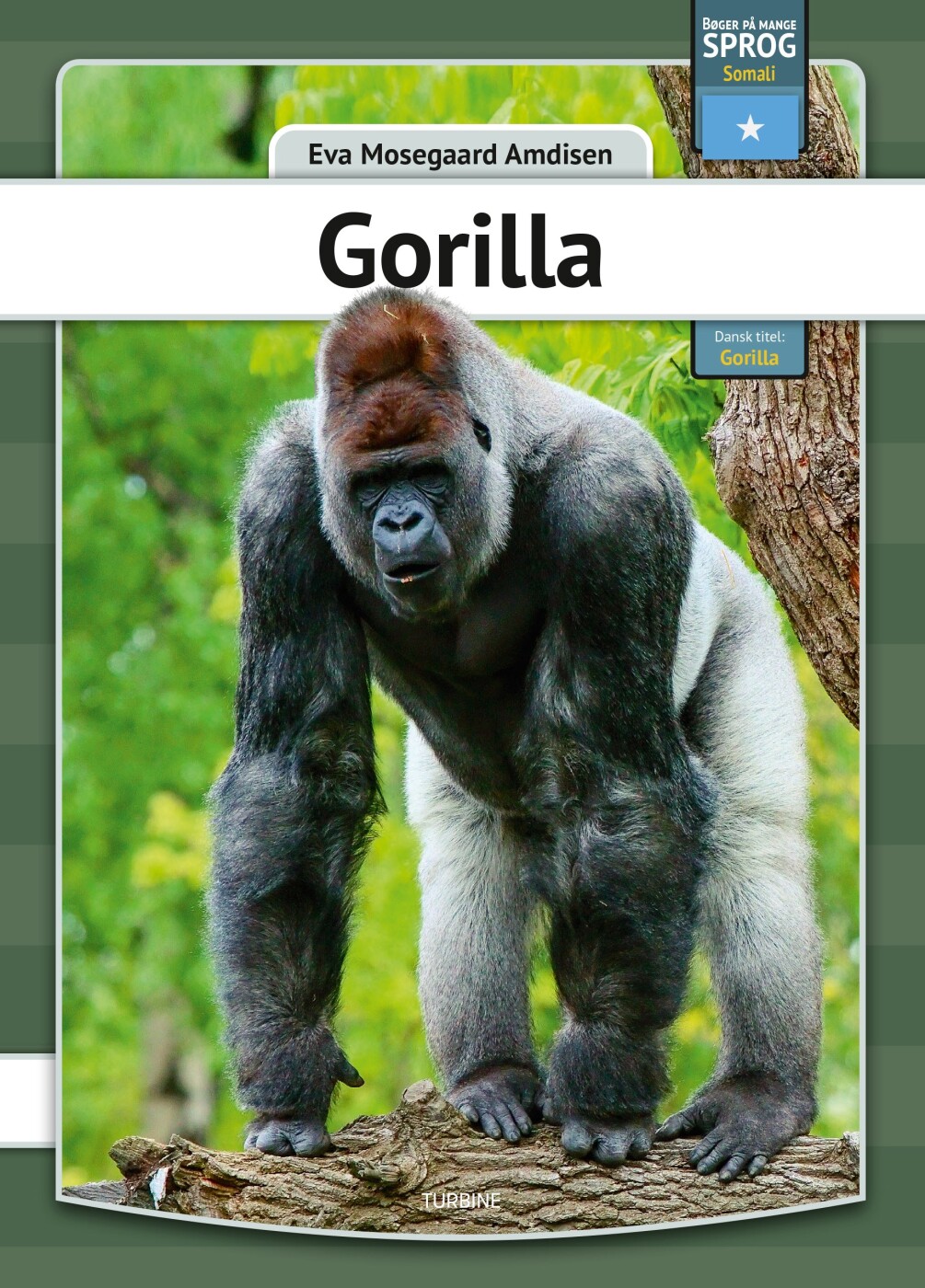 Gorilla - Somali - Eva Mosegaard Amdisen - Bog