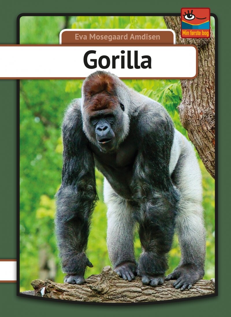 Billede af Gorilla - Eva Mosegaard Amdisen - Bog