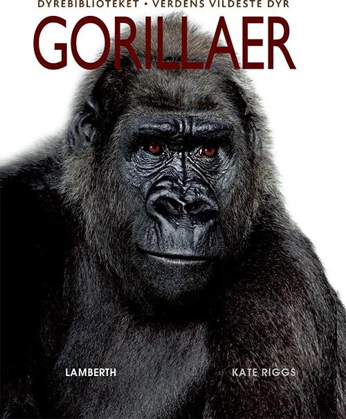 Gorillaer - Kate Riggs - Bog