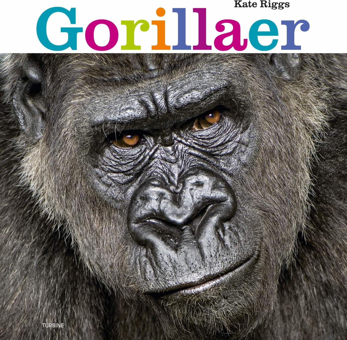 Gorillaer - Kate Riggs - Bog