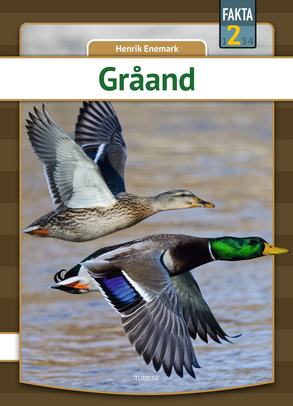 Gråand - Henrik Enemark - Bog