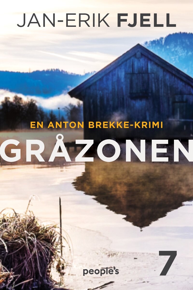 Gråzonen - Jan-erik Fjell - Bog