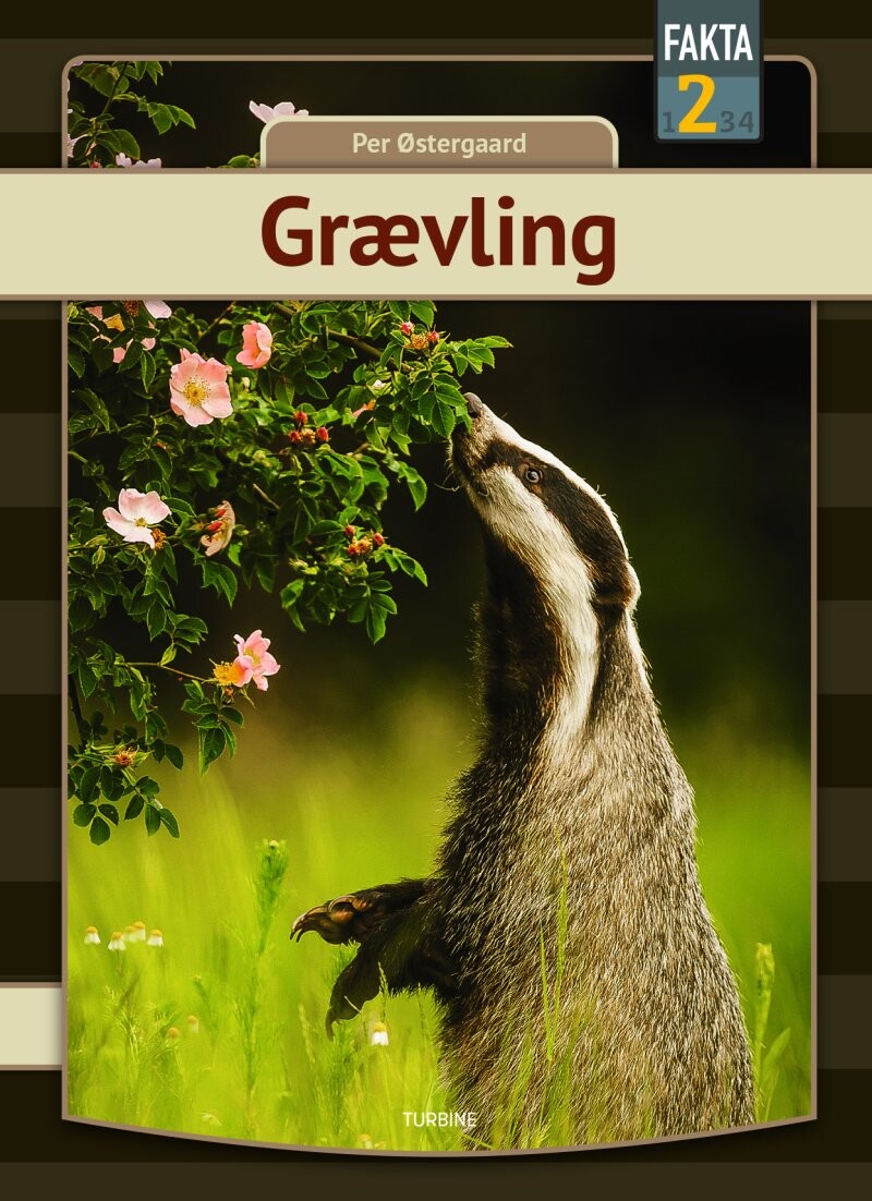 Grævling - Per østergaard - Bog
