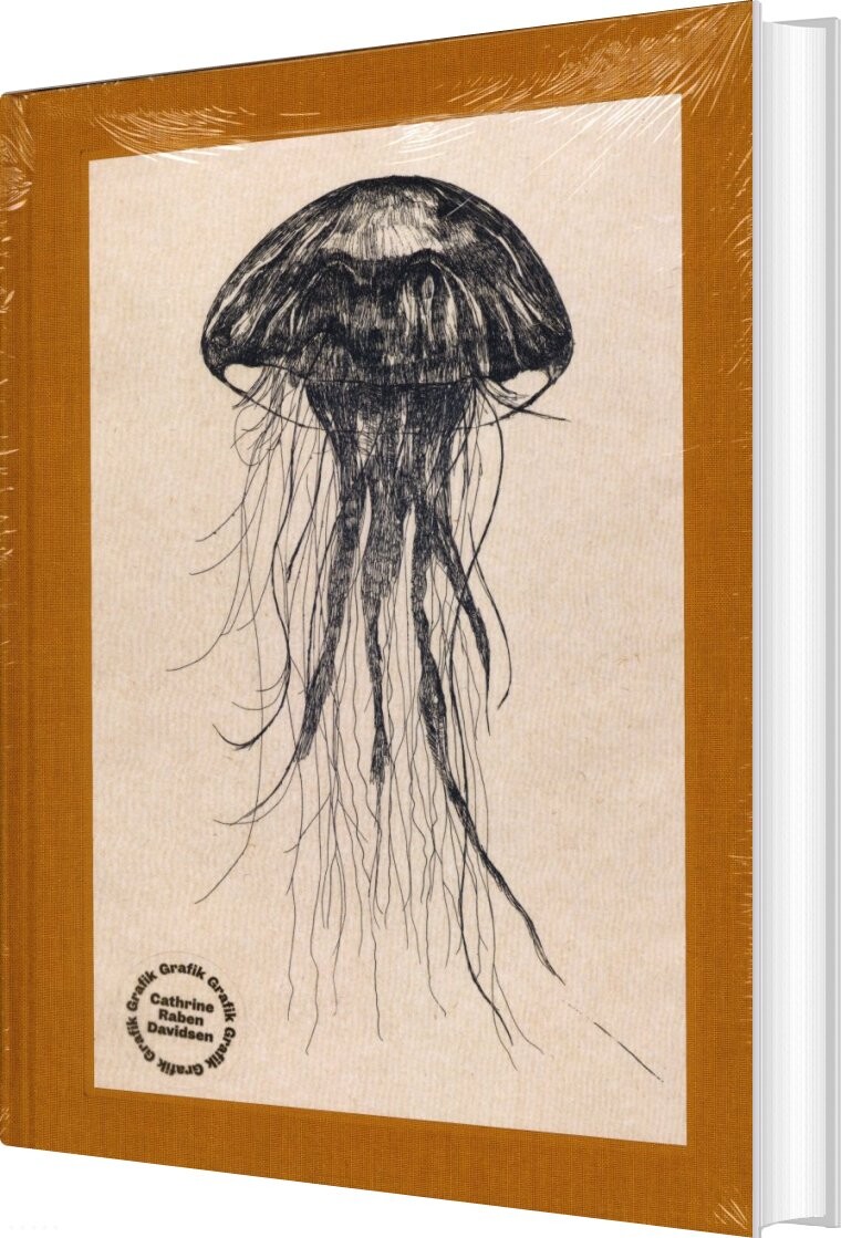 Grafik 1998-2022 - Cathrine Raben Davidsen - English Book