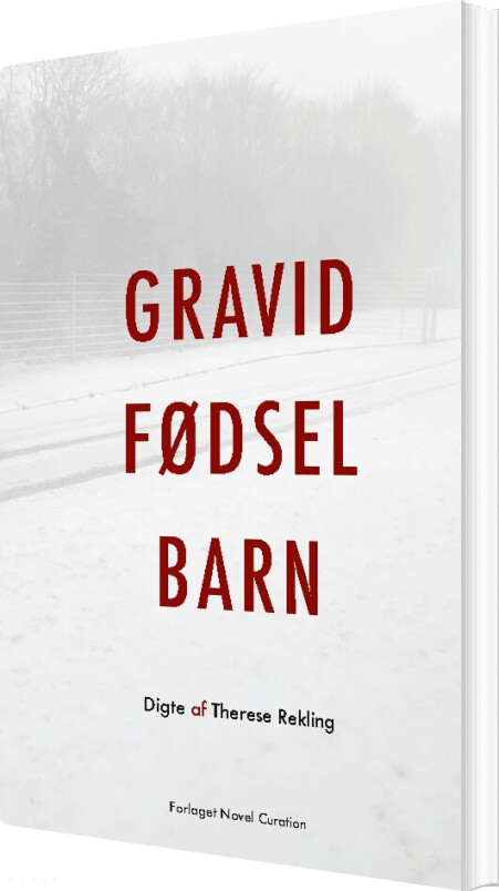 Gravid Fødsel Barn - Therese Rekling - Bog