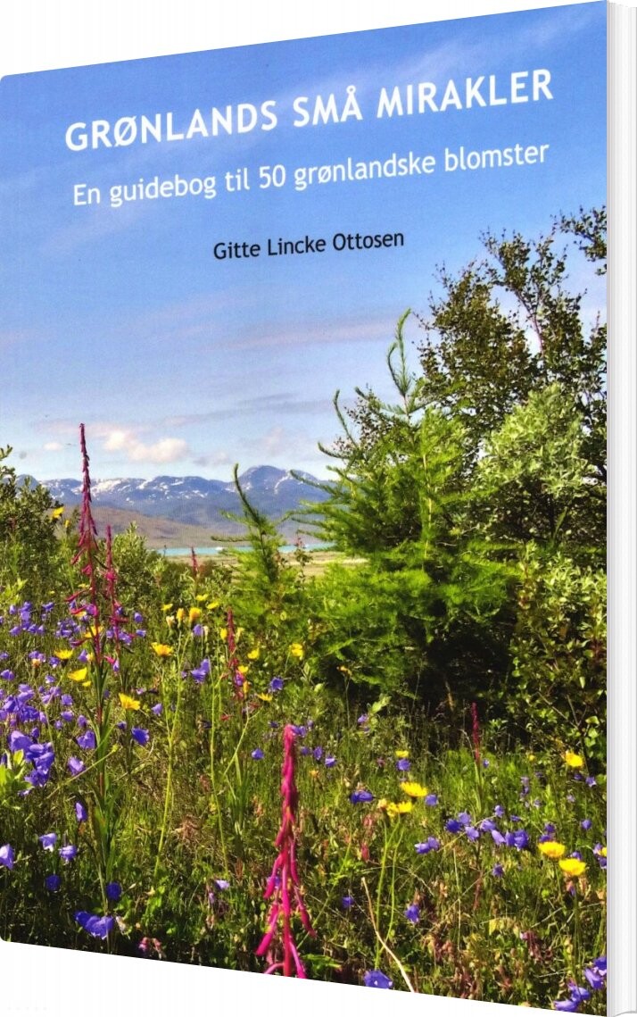 Billede af Grønlands Små Mirakler - Gitte Lincke Ottosen - Bog