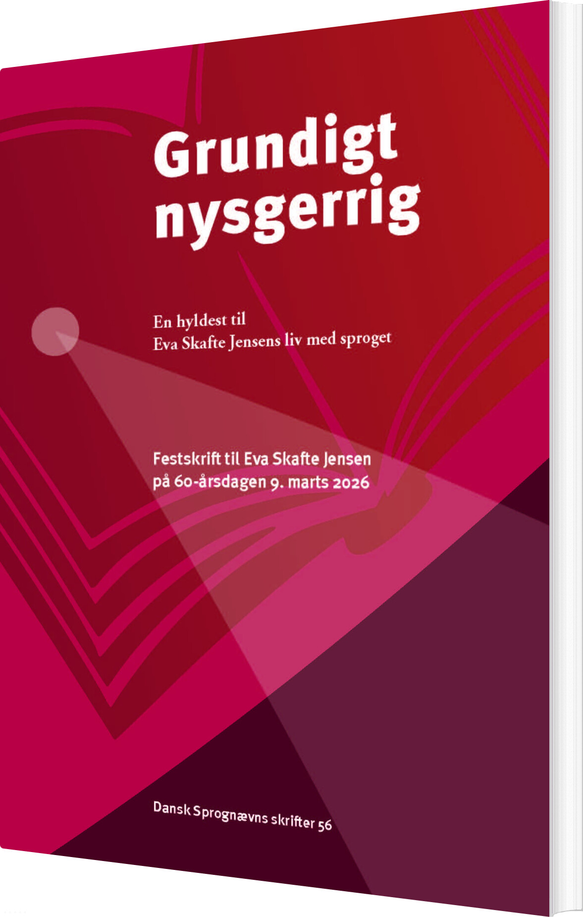 Grundigt Nysgerrig - Marianne Rathje - Bog