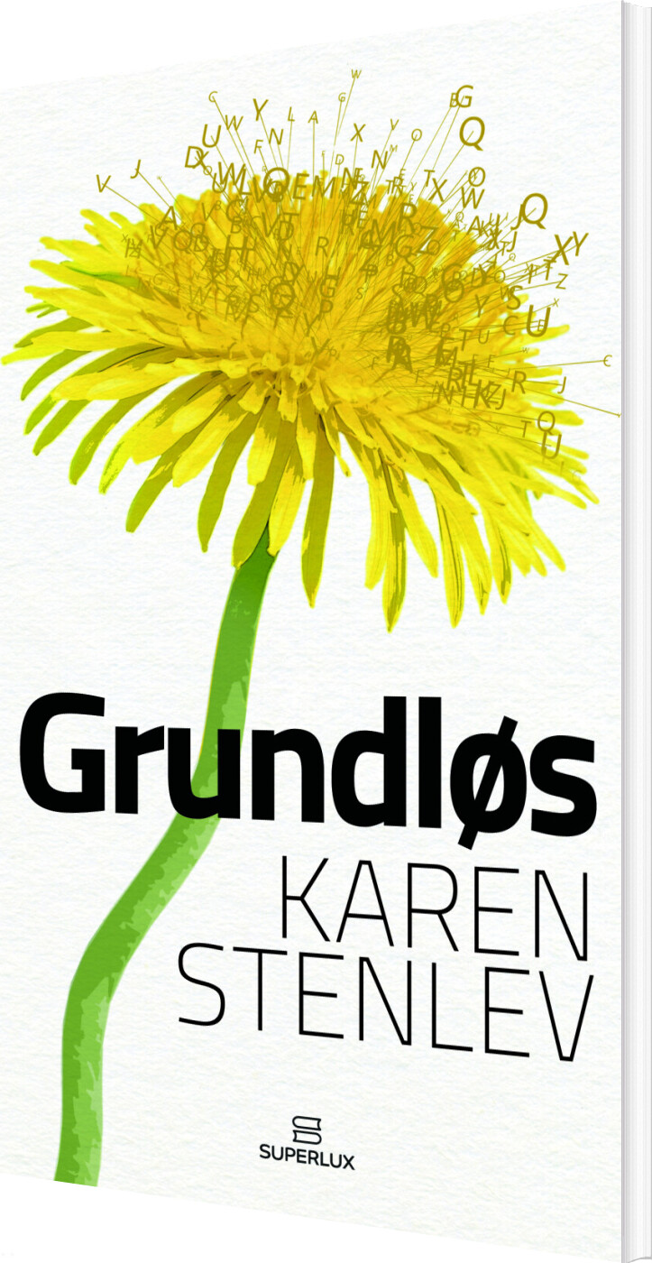 Billede af Grundløs - Karen Stenlev - Bog
