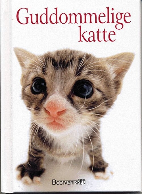 Billede af Guddommelige Katte - Helen Exley - Bog