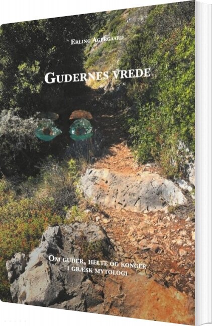 Billede af Gudernes Vrede - Erling Agergaard - Bog