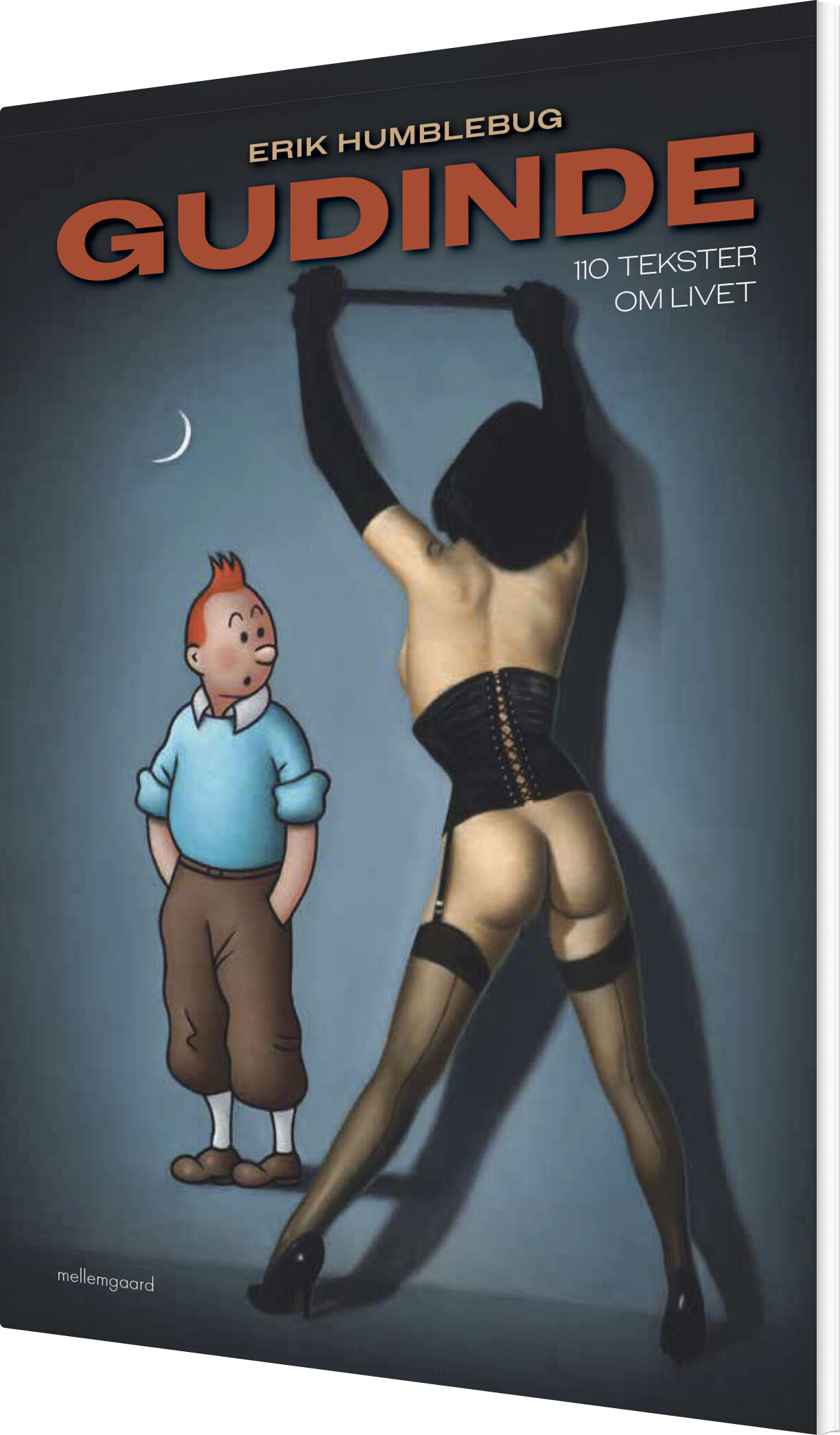 Gudinde - 110 Tekster Om Livet - Erik Humblebug - Bog
