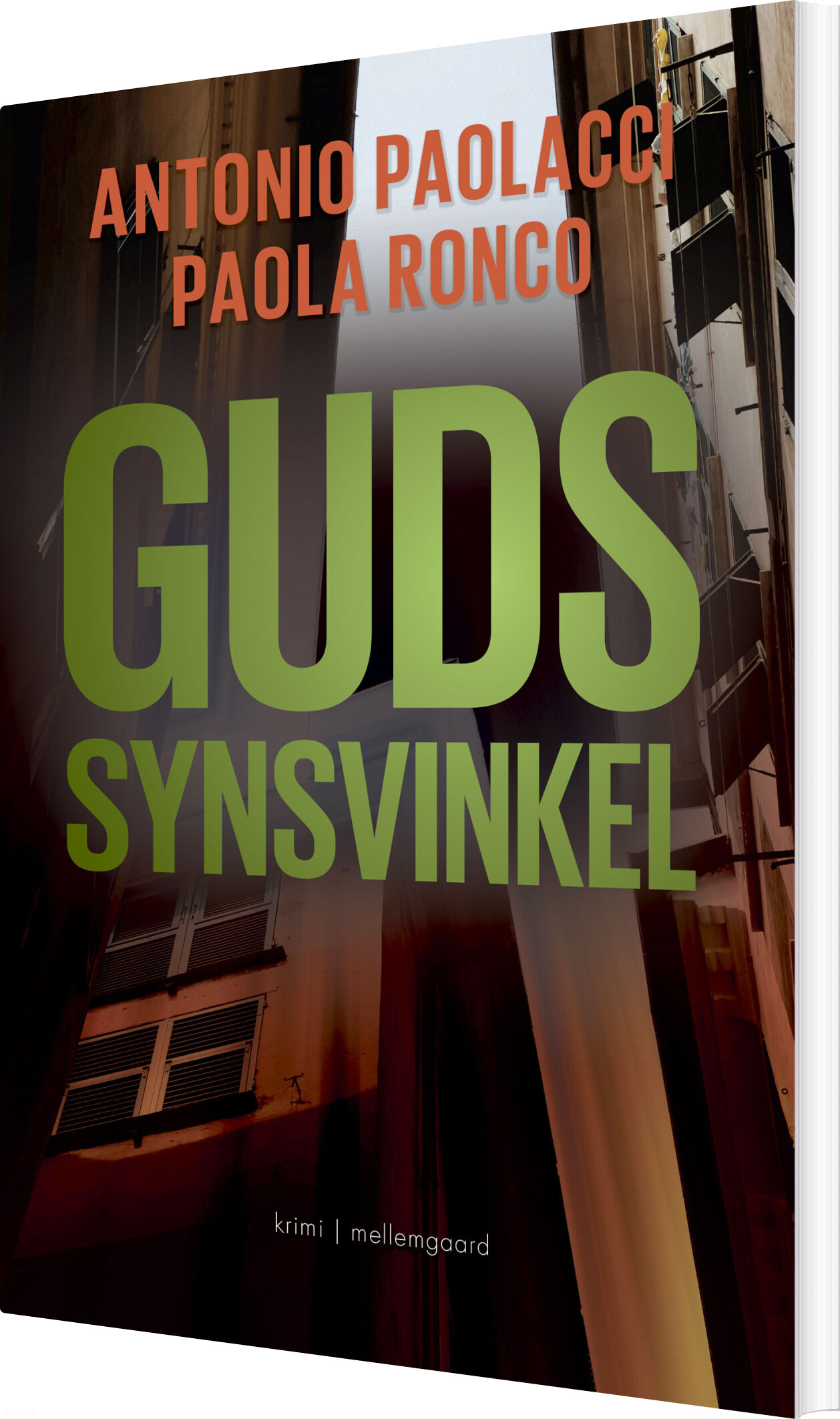 Guds Synsvinkel - Antonio Paolacci - Bog