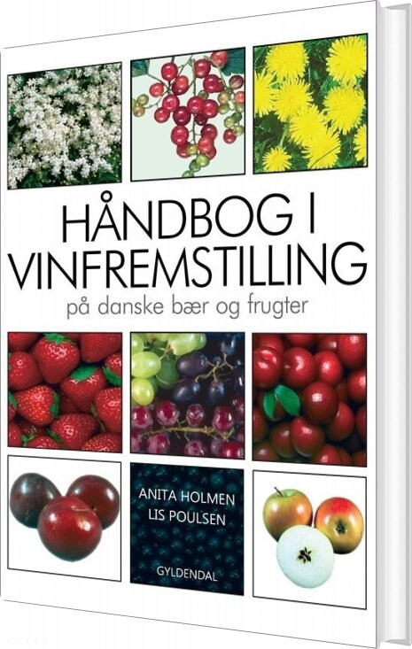 Håndbog I Vinfremstilling På Danske Bær Og Frugter - Anita Holmen - Bog