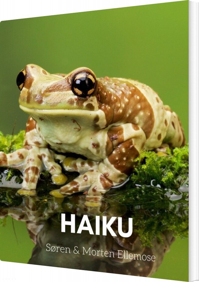 Billede af Haiku - Søren Ellemose - Bog