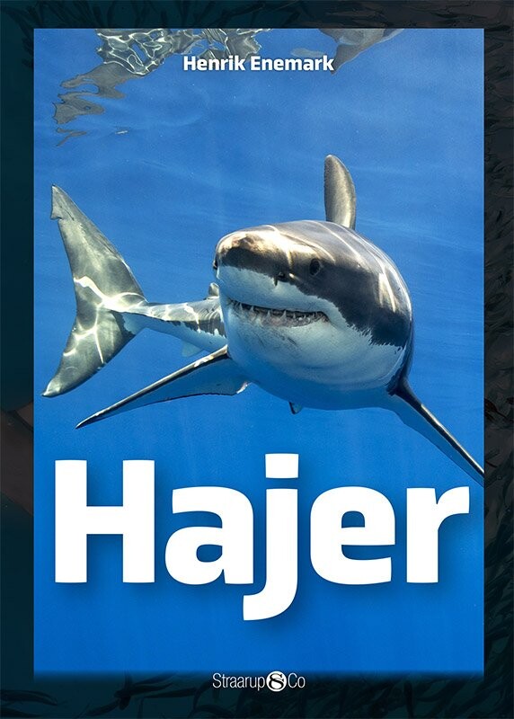 Hajer - Henrik Enemark - Bog - Straarup & Co