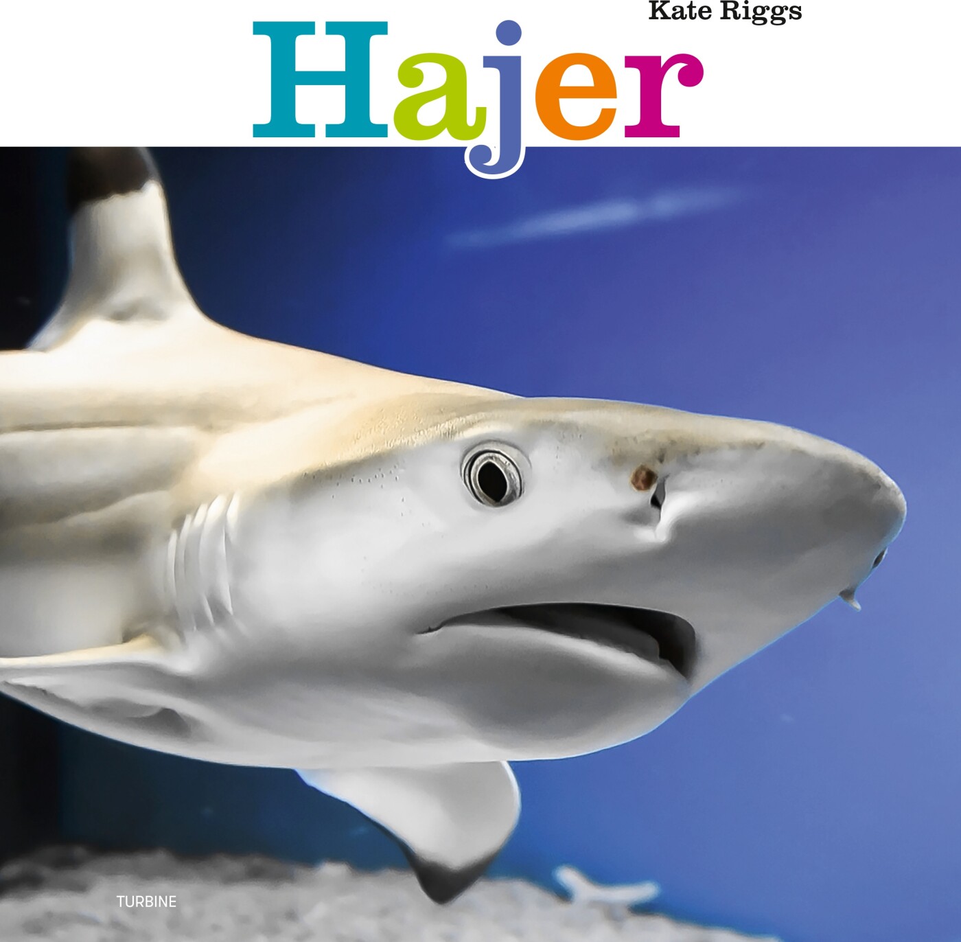 Hajer - Kate Riggs - Bog