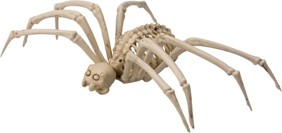 Halloween Skelet Edderkop