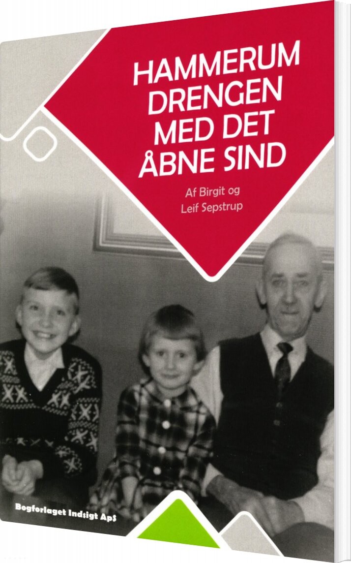 Billede af Hammerum Drengen Med Det åbne Sind - Leif Sepstrup - Bog