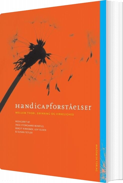 Billede af Handicapforståelser - Leif Olsen - Bog