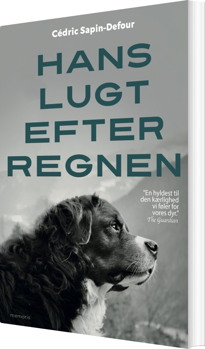 Hans Lugt Efter Regnen - Cédric Sapin-defour - Bog