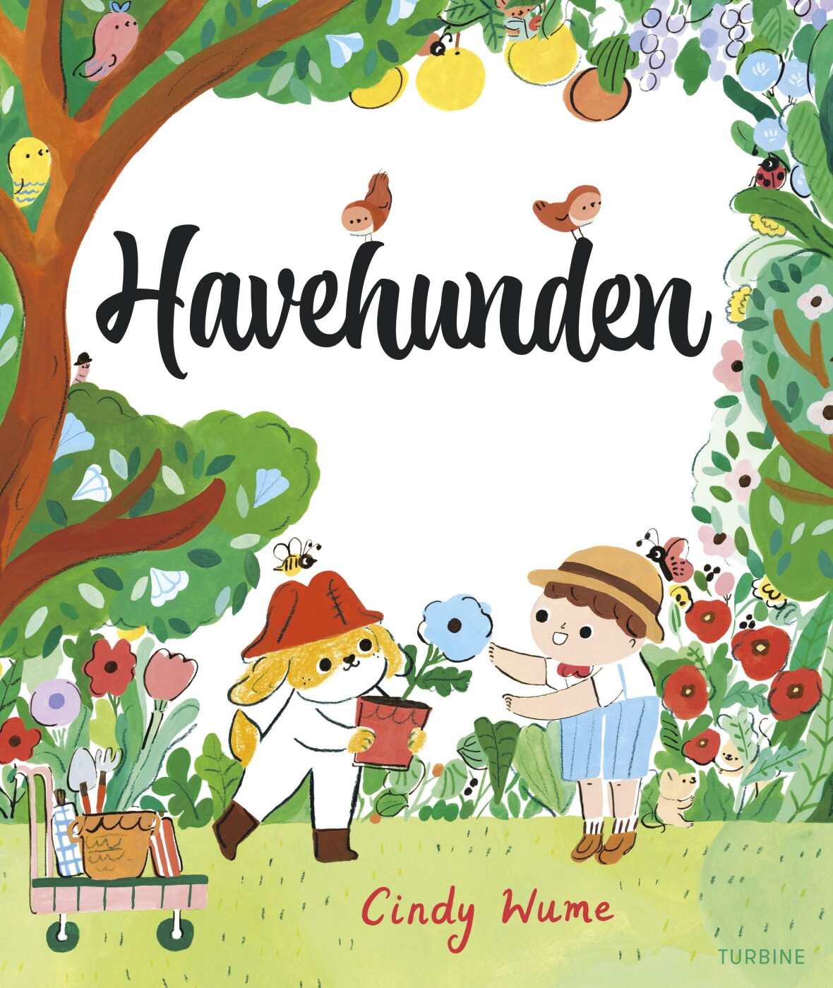 Havehunden - Cindy Wume - Bog - Turbine