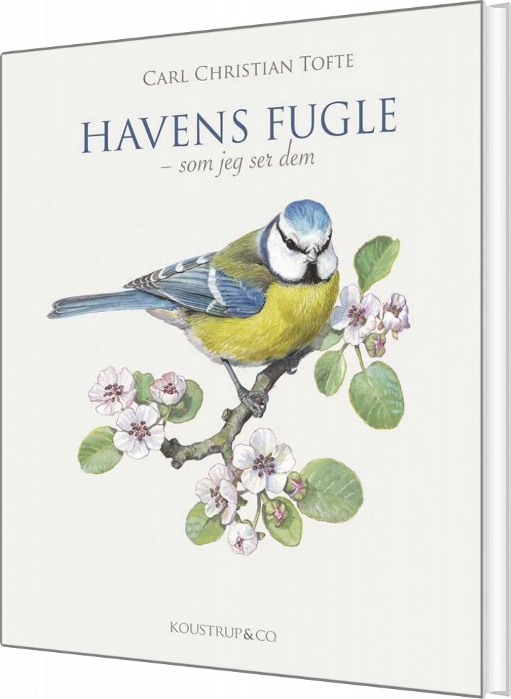 Havens Fugle - Carl Christian Tofte - Bog