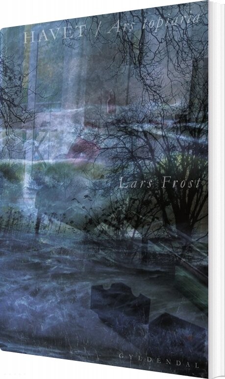 Billede af Havet - Lars Frost - Bog