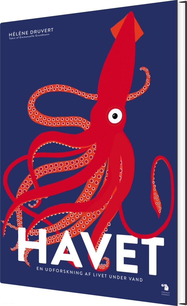 Billede af Havet - Hélène Druvert - Bog