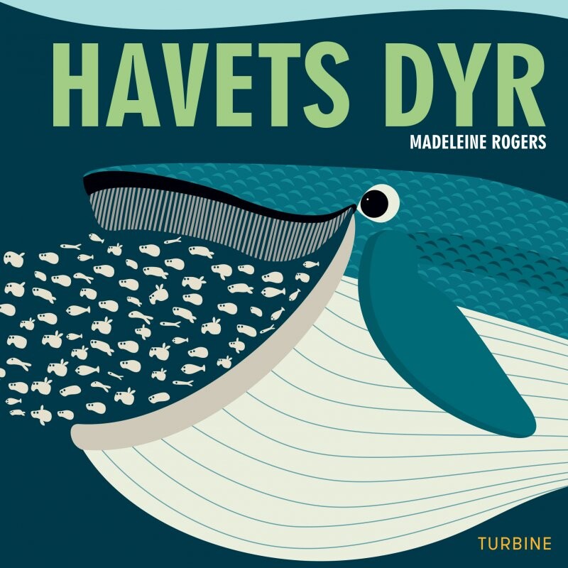 Billede af Havets Dyr - Madeleine Rogers - Bog