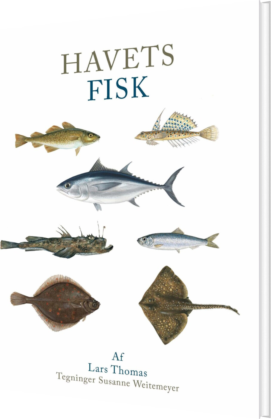 Havets Fisk - Lars Thomas - Bog